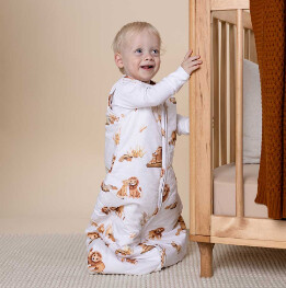 Lion Organic Sleeping Bag 2.5 Tog
