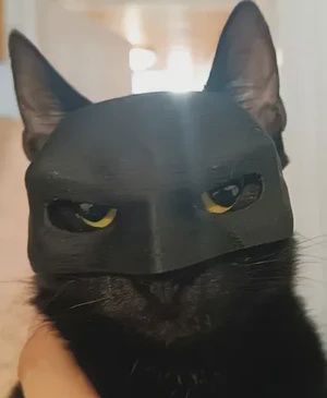 CATMAN Batcat Mask