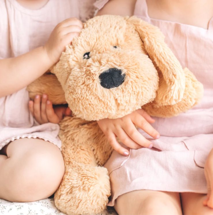 Charlie the Weighted Puppy Dog Toy