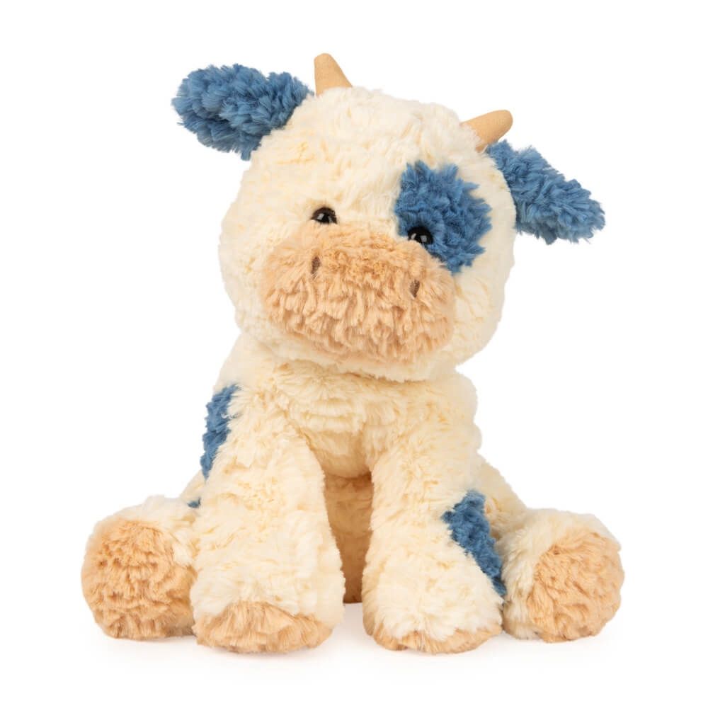 COZYS: COW