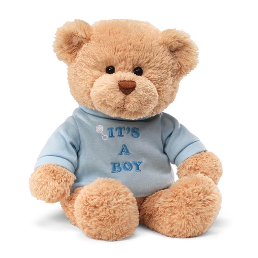 MESSAGE BEAR: IT&#39;S A BOY - BLUE
