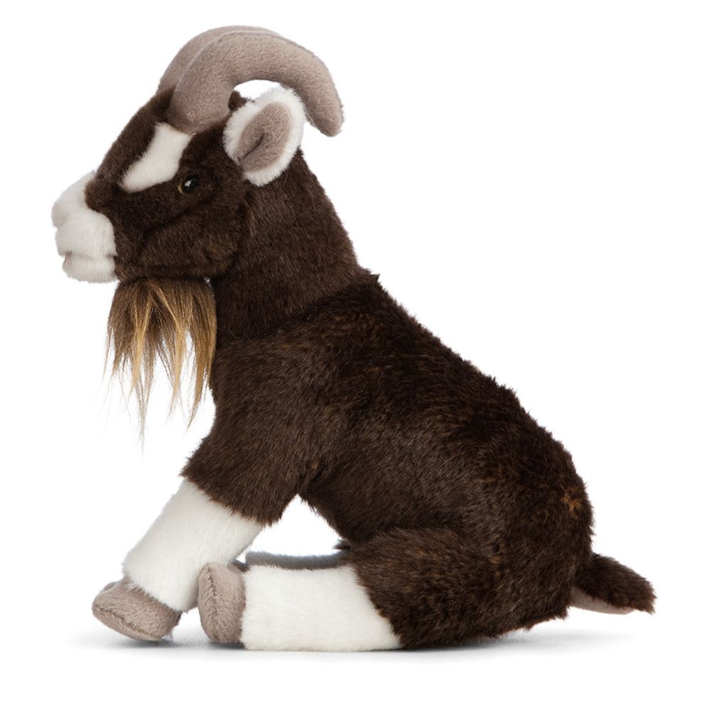 Brown Goat Sitting