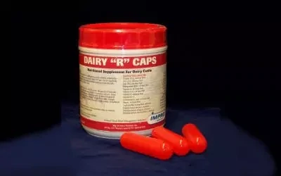 Dairy R Caps