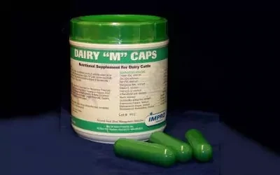 Dairy M Caps