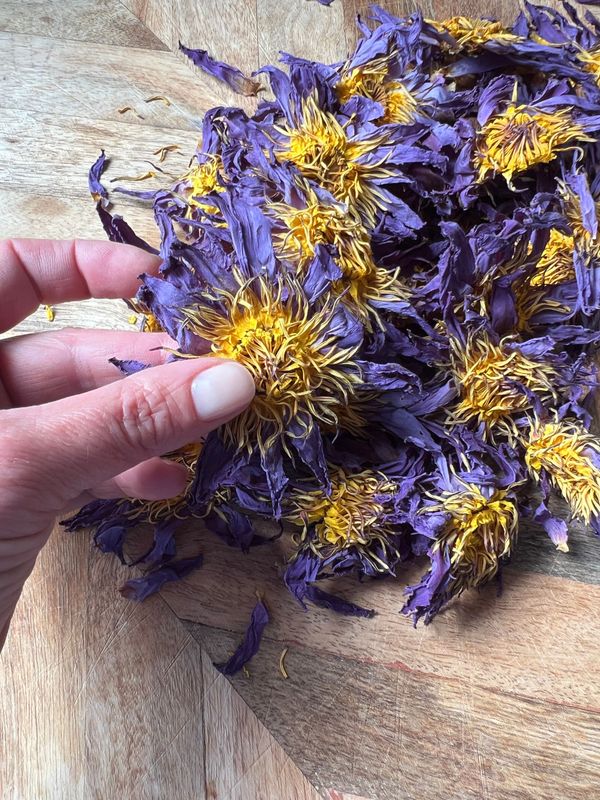 Lotus thee ~ Lotus tea