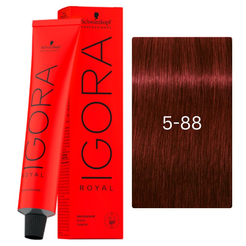IGORA ROYAL 5-88