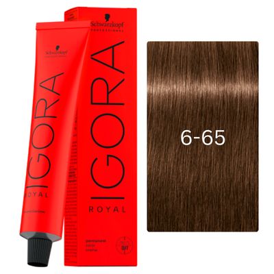IGORA ROYAL 6-65