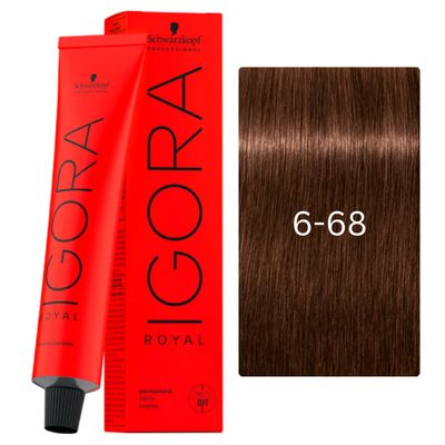 IGORA ROYAL 6-68