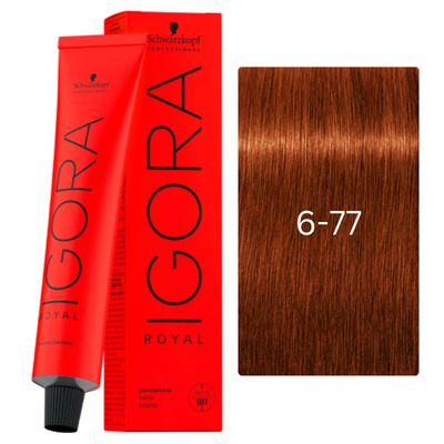 IGORA ROYAL 6-77