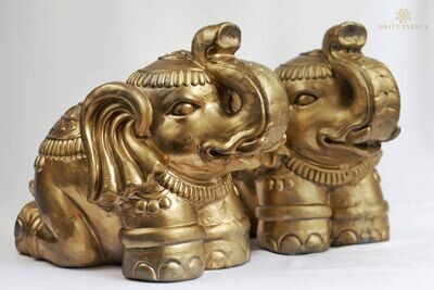 Display Elephants