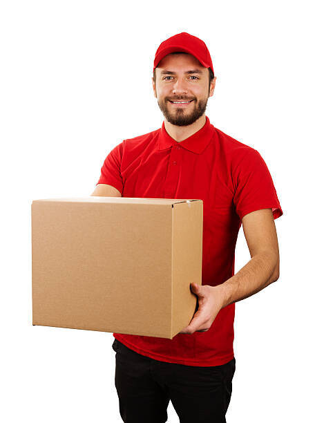 Delivery In Europe / US