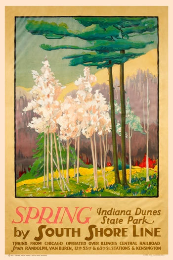 Spring: Indiana Dunes State Park