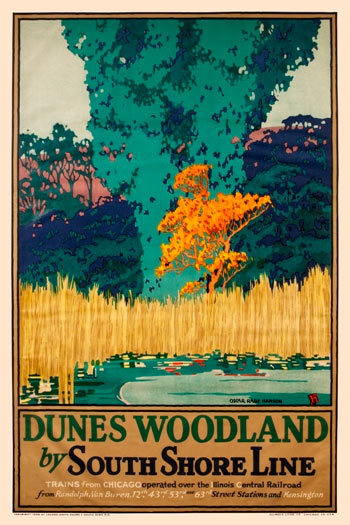Dunes Woodland