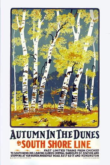 Autumn in the Dunes