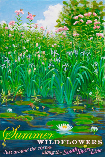 Summer Wildflowers
