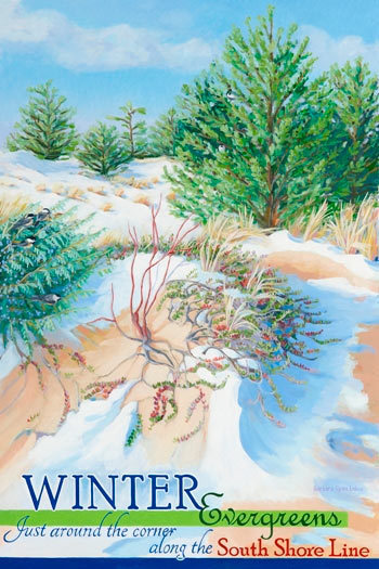 Winter Evergreens