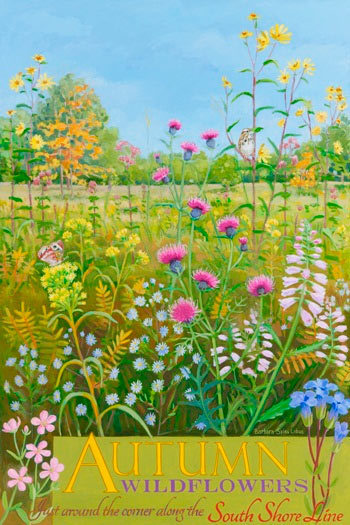 Autumn Wildflowers