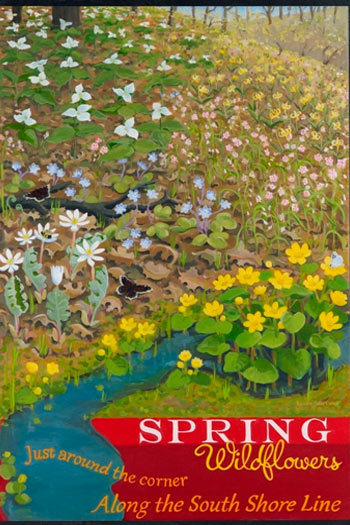 Spring Wildflowers