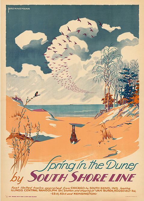 Spring in the Dunes