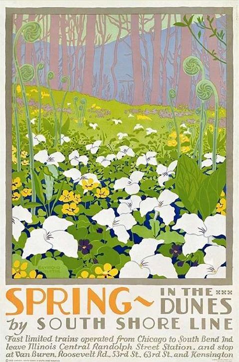 Spring in the Dunes