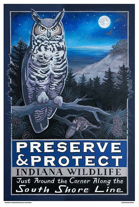 Preserve & Protect