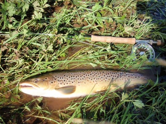 Monday-Friday Fishing Permit