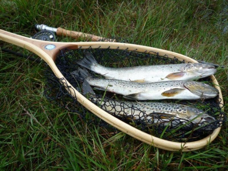 Single Day Fishing Permit