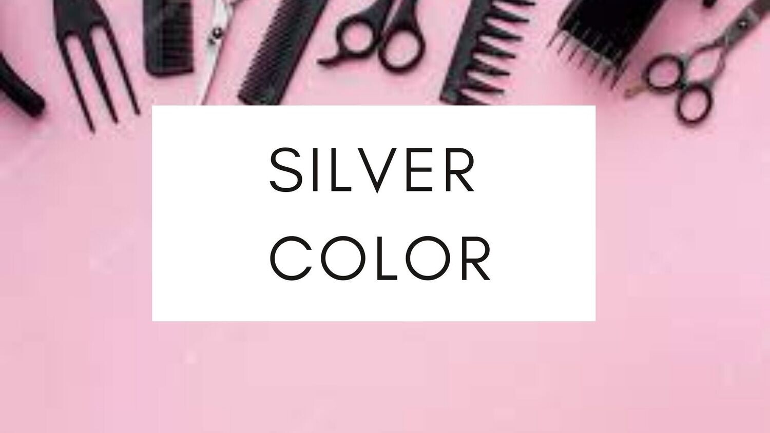 Masterclass Silver Color ( 1 dzien )