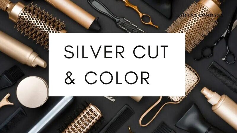 Szkolenie SILVER CUT &amp; COLOR ( 2 dni )