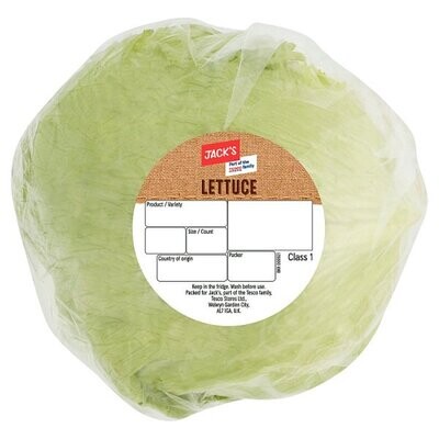 Jack&#39;s Iceberg Lettuce Single