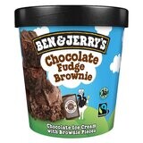 Ben &amp; Jerry&#39;s Chocolate Fudge Brownie Ice Cream 465 ml