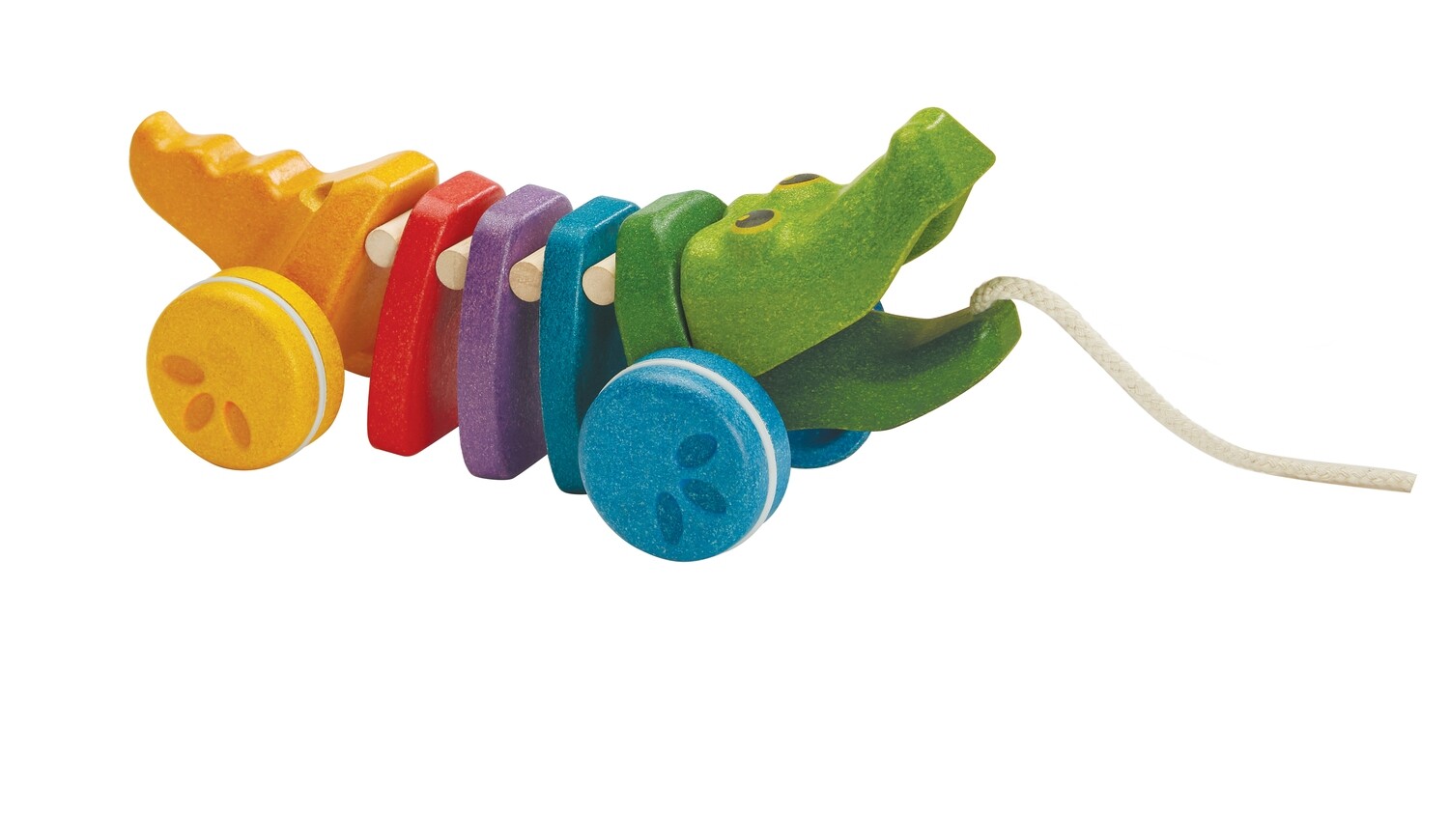 Rainbow Alligator