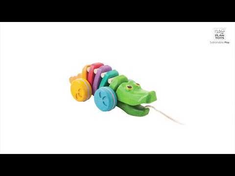 Rainbow Alligator