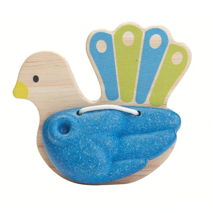 Bird Percussion – Peacock