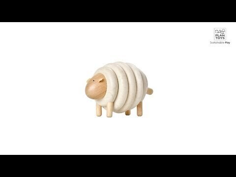 Lacing Sheep