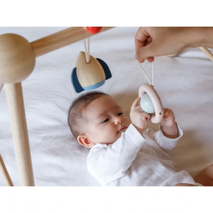 Play Gym - Orchard