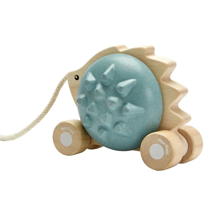 PULL-ALONG HEDGEHOG - BLUE