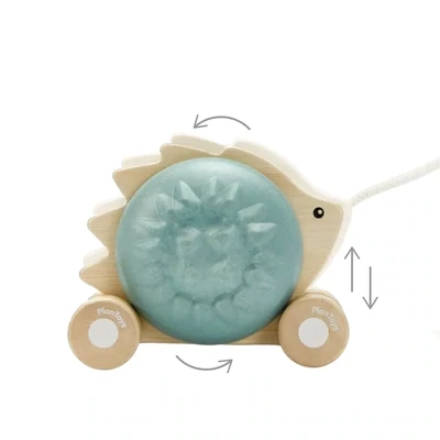 PULL-ALONG HEDGEHOG - BLUE