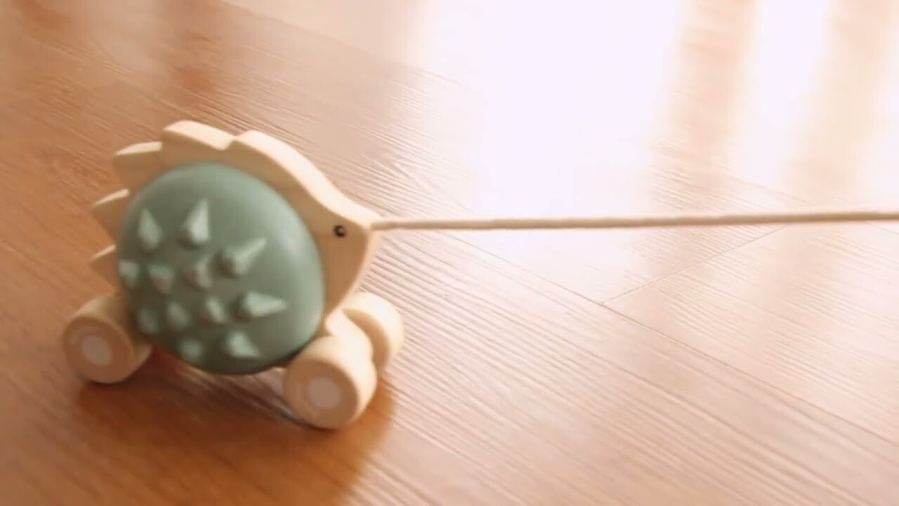 Pull Along Hedgehog - Brown