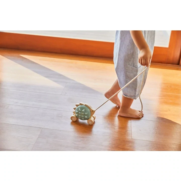 PULL-ALONG HEDGEHOG - BLUE