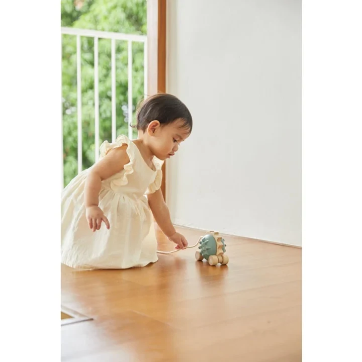 PULL-ALONG HEDGEHOG - BLUE