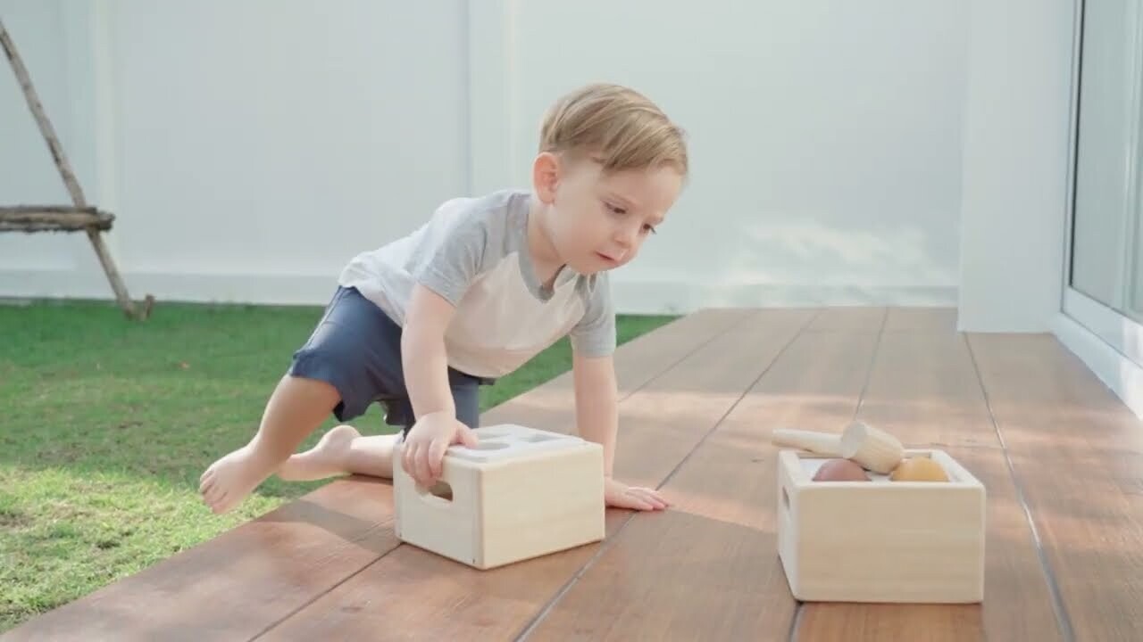 Shape &amp; Sort It Out - Orchard