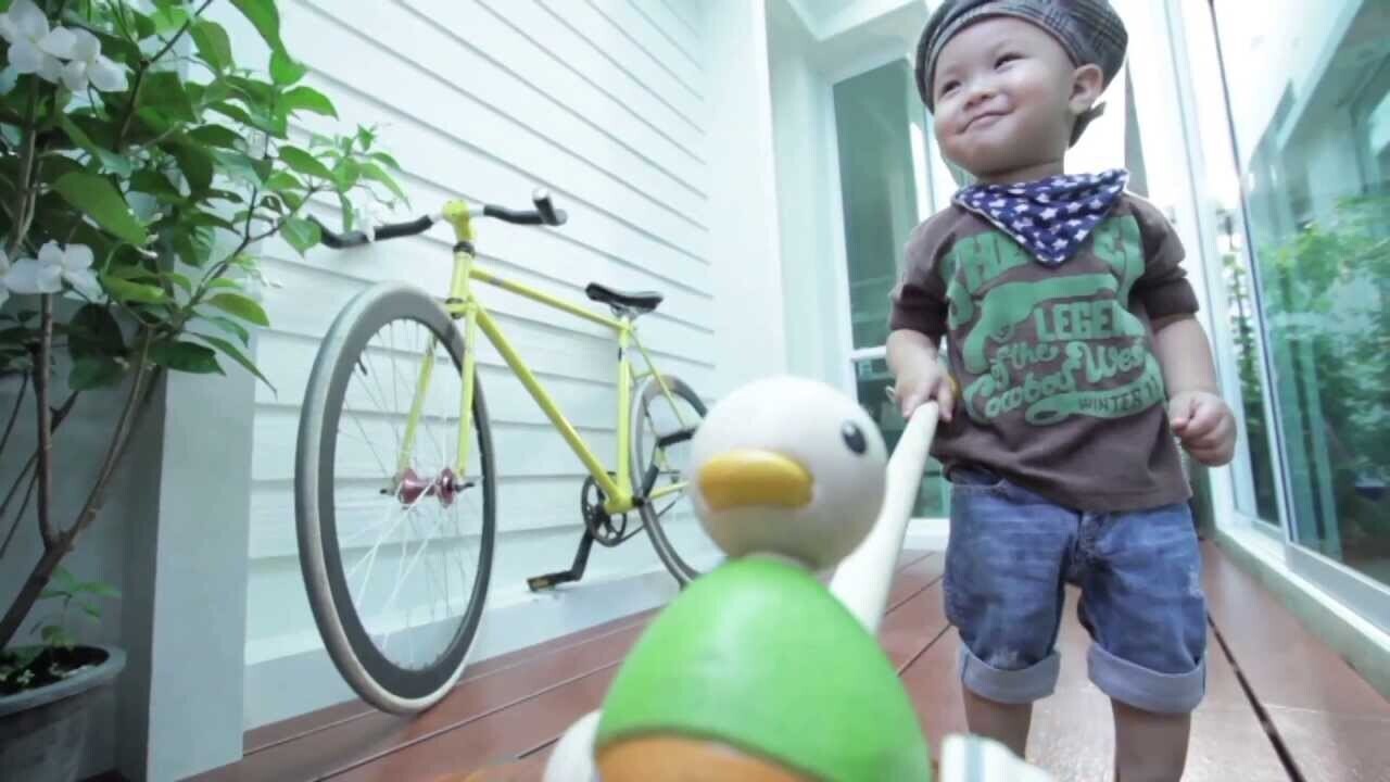 Push Along Duck