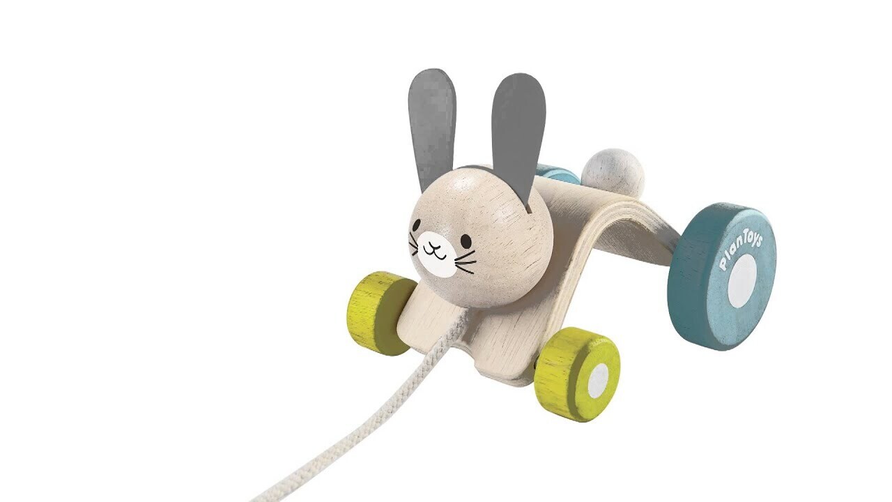 Hopping Rabbit