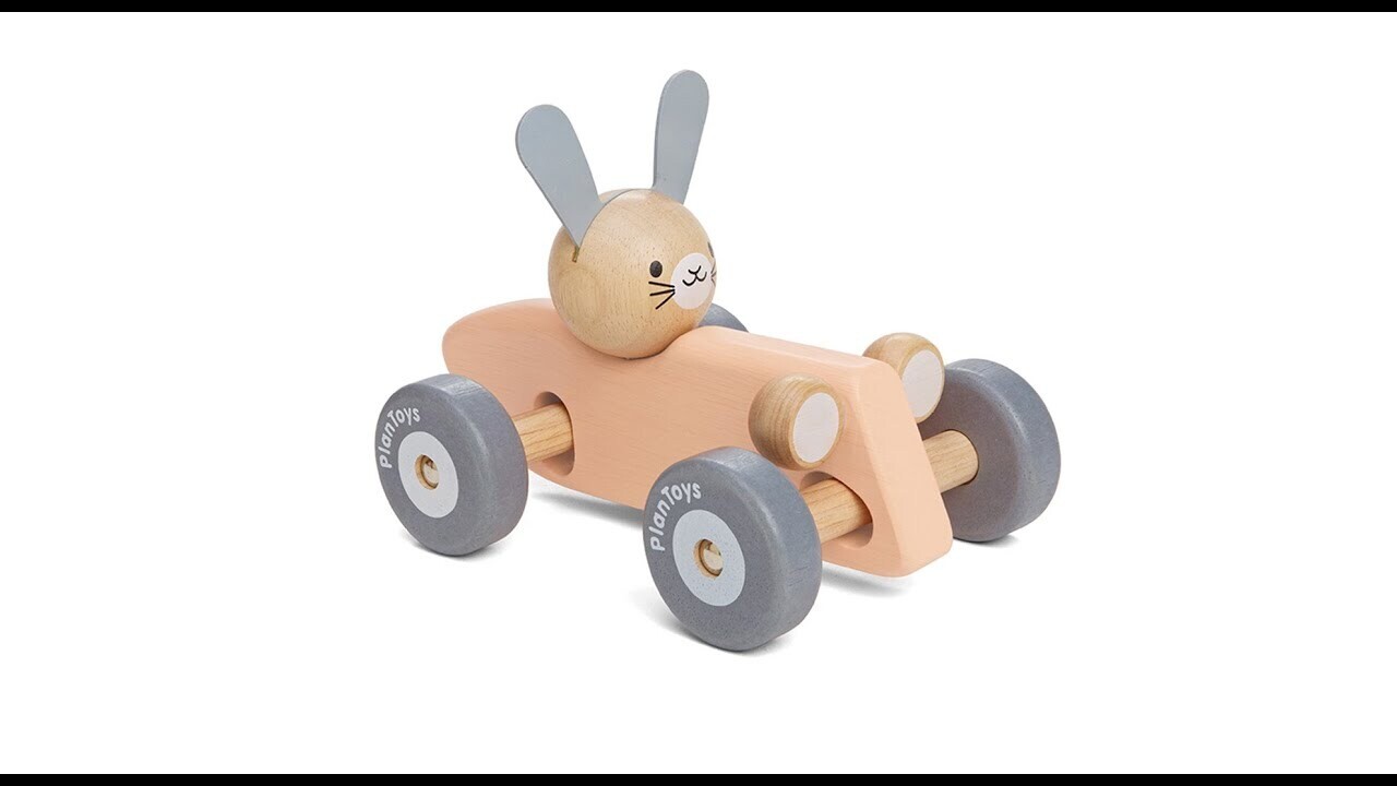 Bunny Racing Car