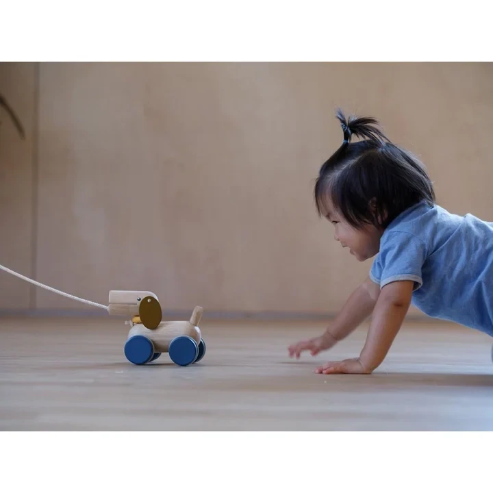 Push &amp; Pull Puppy