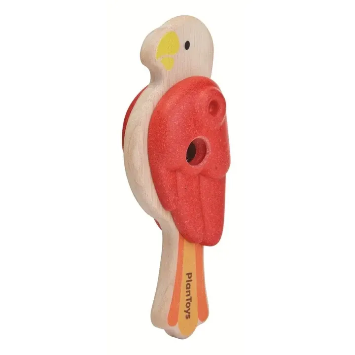Bird Percussion – Parrot