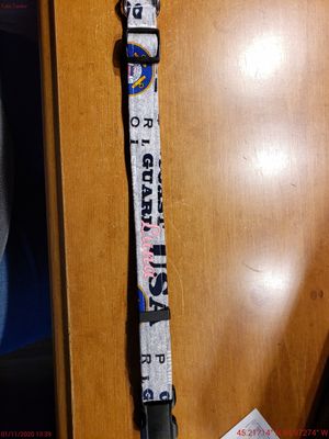 Fashionable Fun Collars