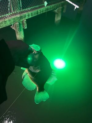 Underwater Green Lights