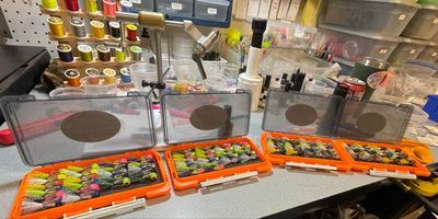 SALLY RATTLER BOX SET